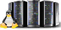 Tampa Computer Repair near me provides linux Server Repair near me 